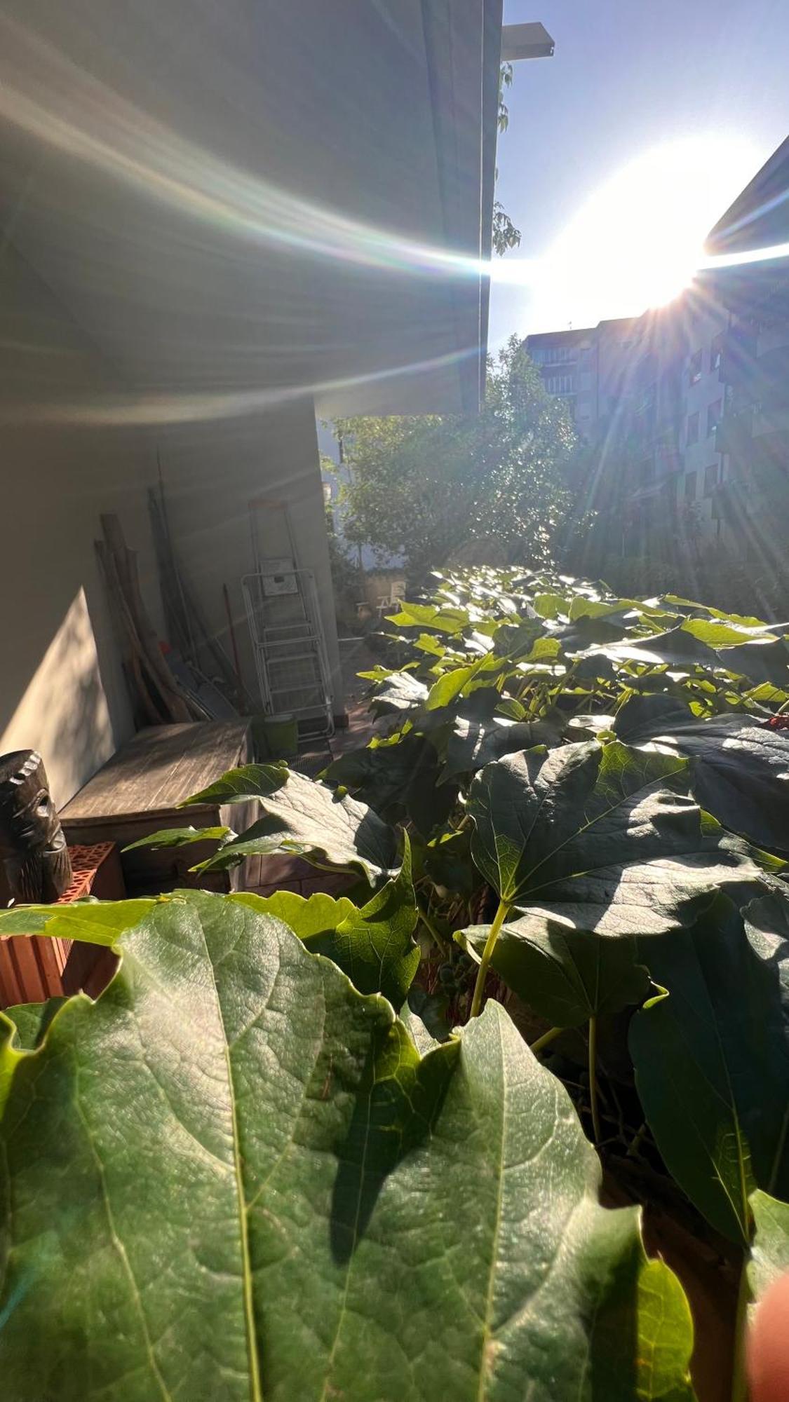 Garden Suite Bolzano Exterior photo